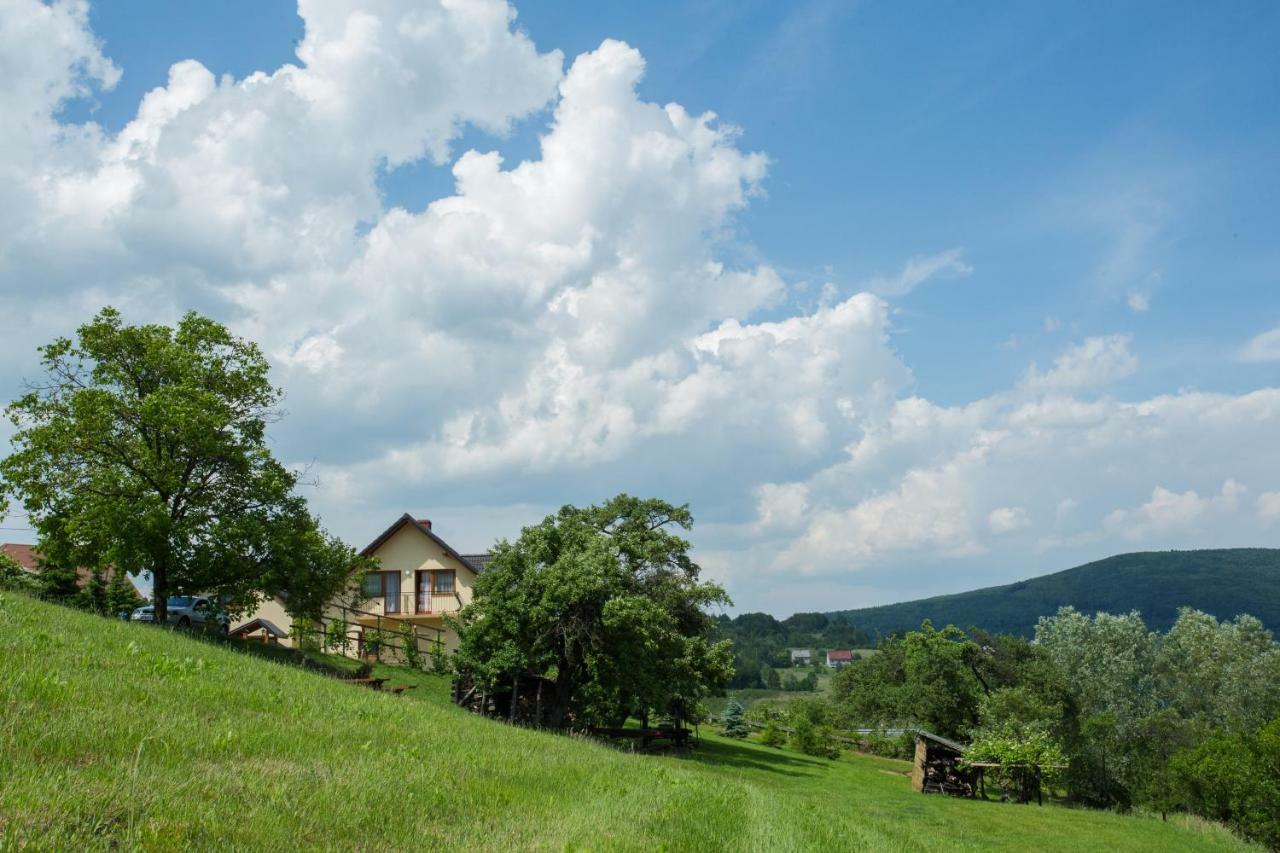 Nad Zalewem Villa Jaszczurowa Exteriör bild
