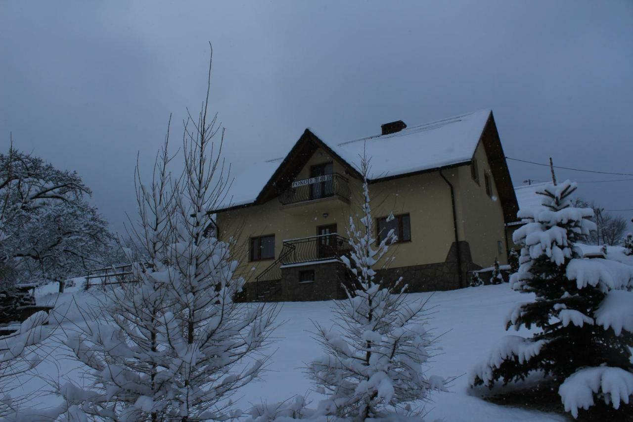 Nad Zalewem Villa Jaszczurowa Exteriör bild