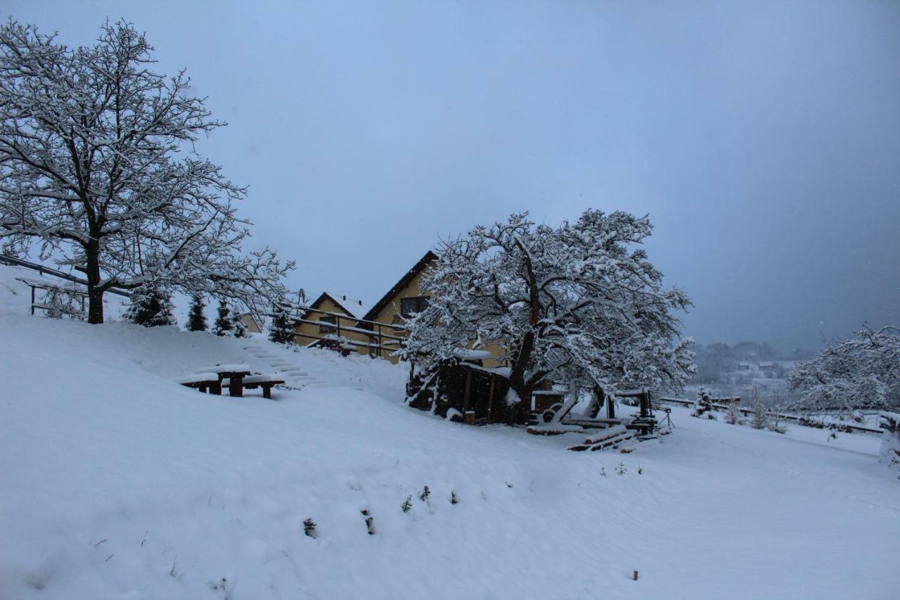 Nad Zalewem Villa Jaszczurowa Exteriör bild