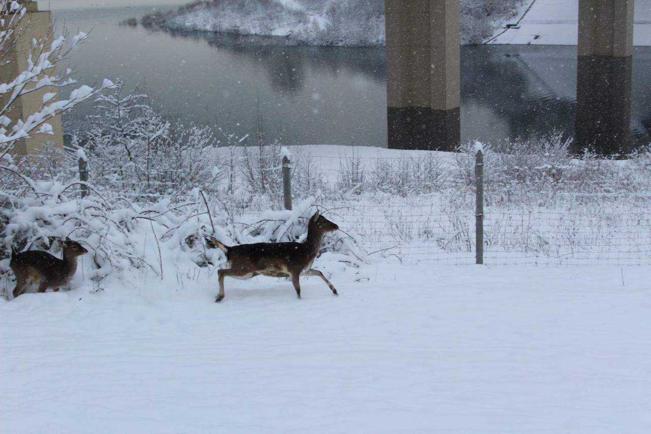 Nad Zalewem Villa Jaszczurowa Exteriör bild